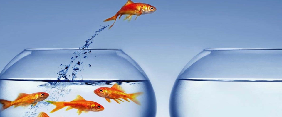 Skilling for Global Employability
